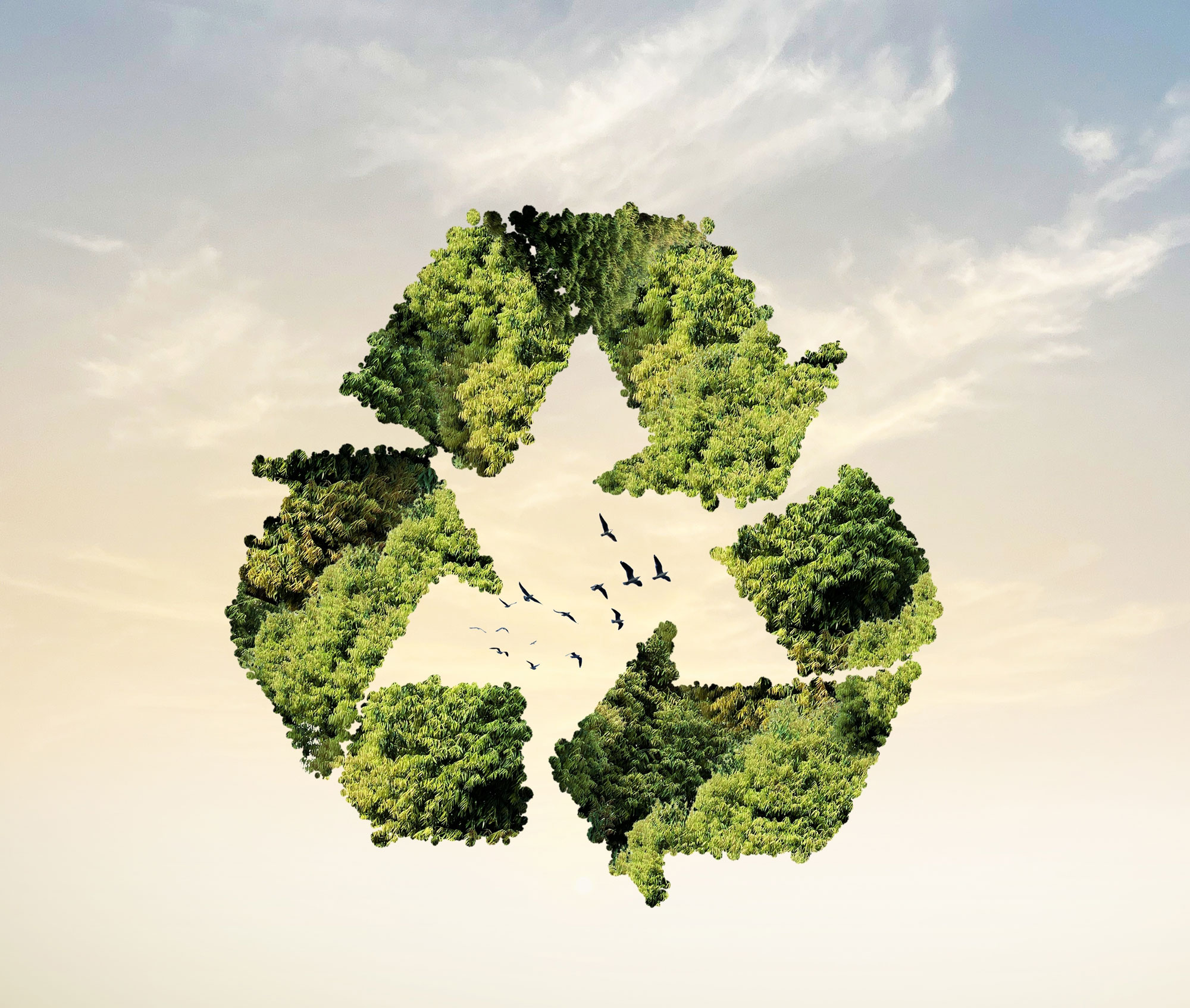 Sutainability 2483605949